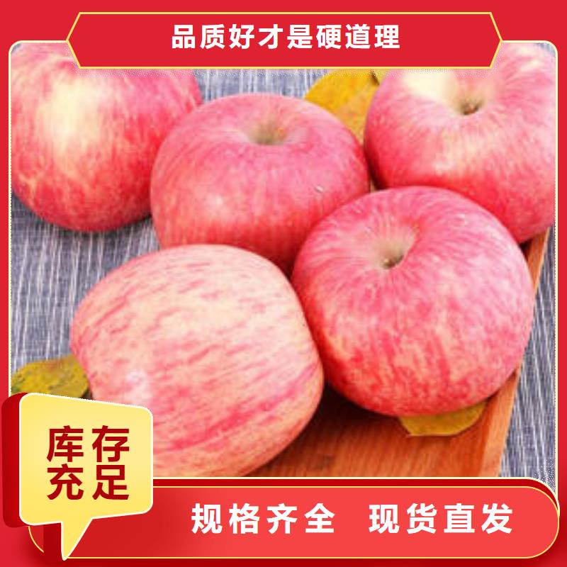 红富士苹果红富士苹果产地追求品质