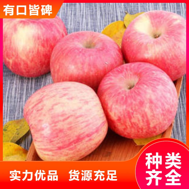 【红富士苹果】苹果
产地直供