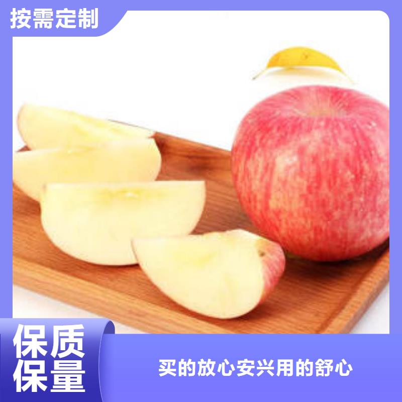 红富士苹果苹果种植基地厂家直销直供