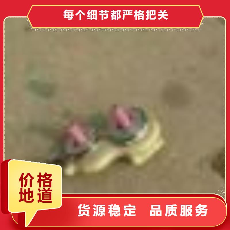 GU013上吹风配件高亮高硬高耐磨