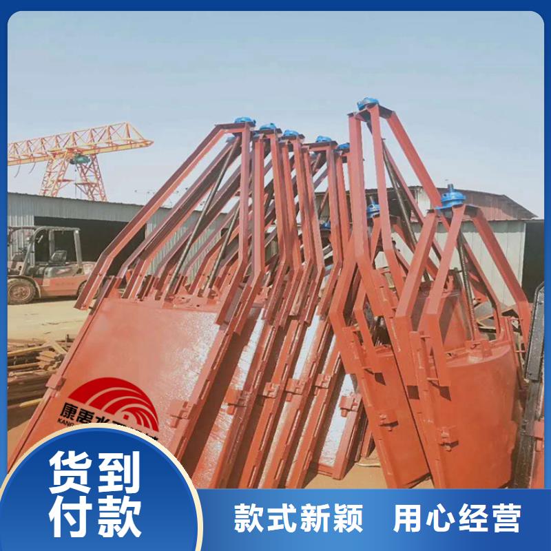 闸门真材实料加工定制