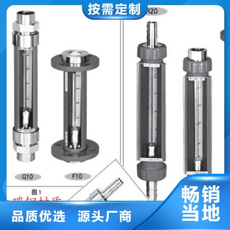 G10防腐型转子流量计支持定制批发