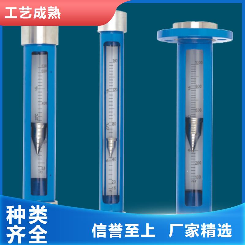 G10转子流量计货源直销