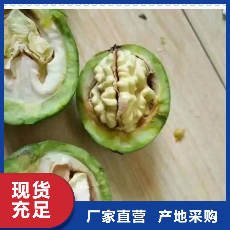 兴海核桃苗-【梨树苗】根据要求定制-业务覆盖区域|盈江|梁河|大理|昭通|丽江|临沧|昆明|迪庆-云商赢企