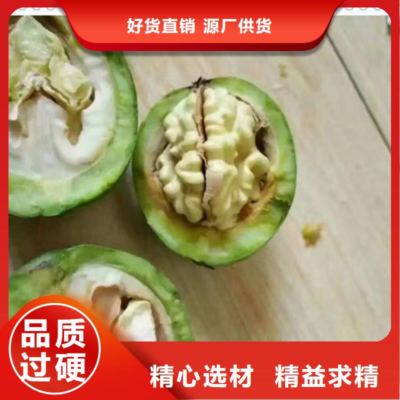 核桃苗_花椒苗检验发货