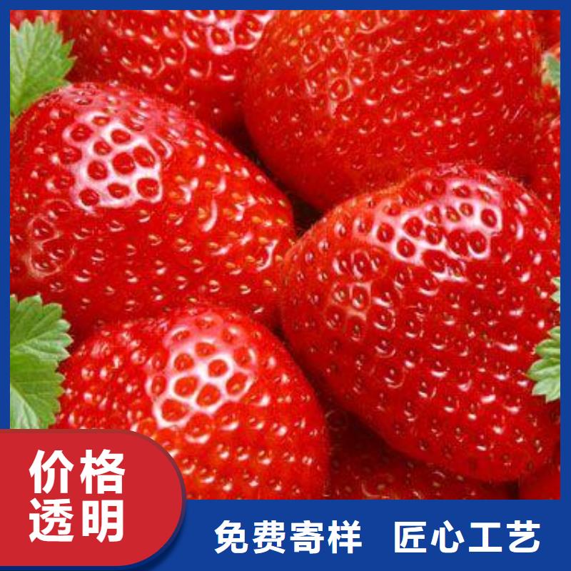 草莓苗山楂苗厂家直营