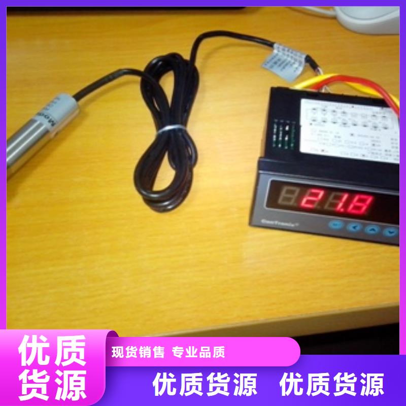 【 IRTP300L金属转子流量计专业的生产厂家】本地品牌