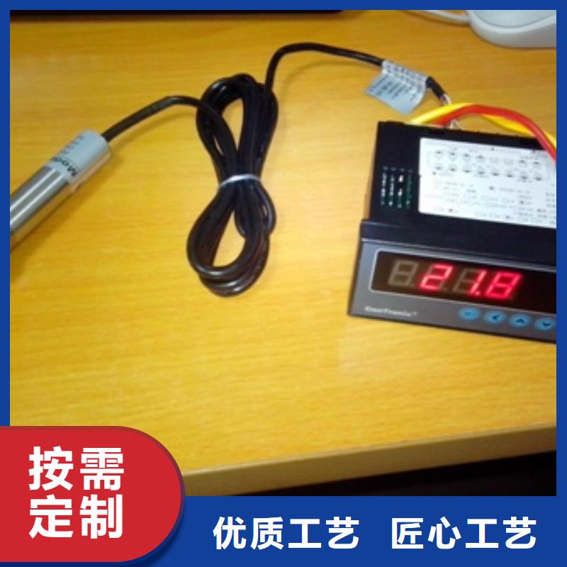 【 IRTP300L-吹扫装置生产型】