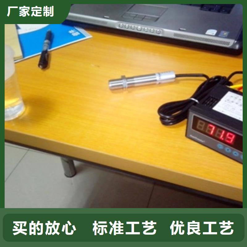 IRTP300L红外探头现货直供