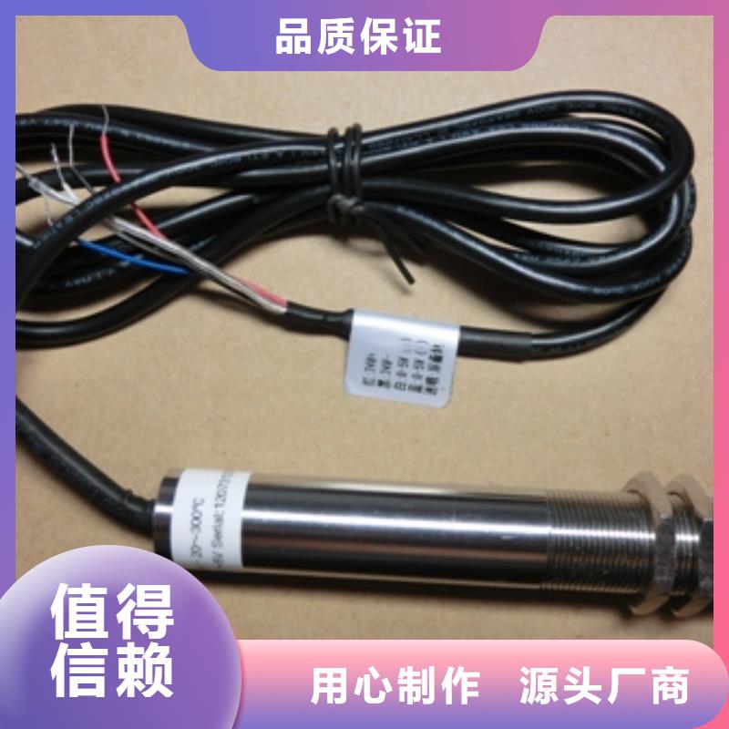 IRTP300L红外探头实力大厂家
