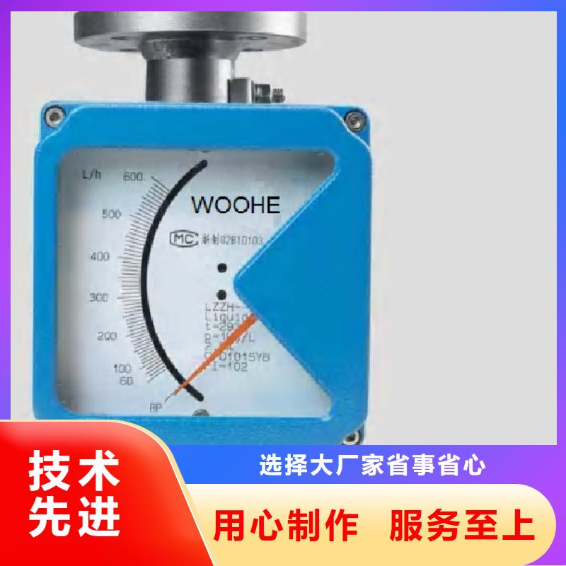 金属浮子流量计-吹扫装置实体厂家