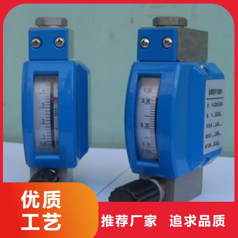 金属浮子流量计温度无线测量系统一致好评产品