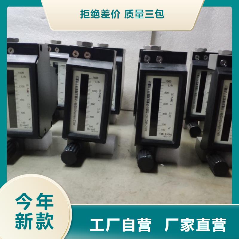 微小流量计吹扫装置现货