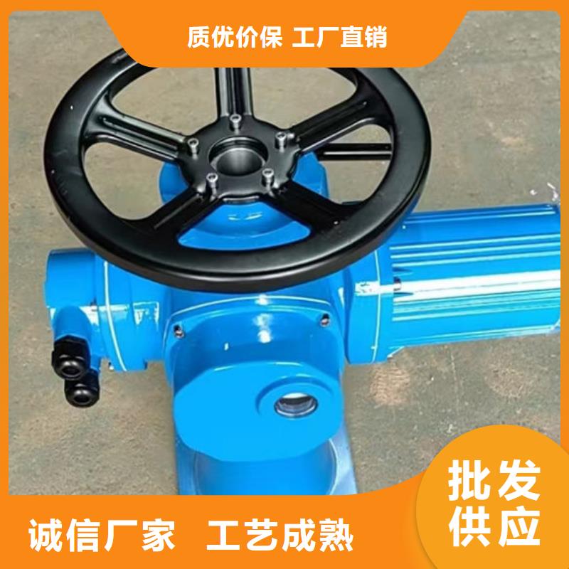 螺杆式启闭机螺杆启闭机大厂家实力看得见