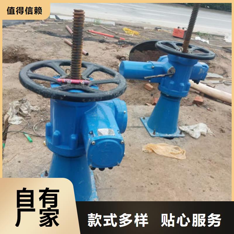 螺杆式启闭机螺杆启闭机大厂家实力看得见