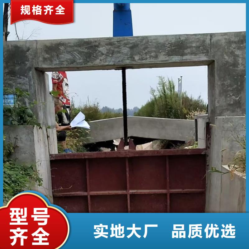 铸铁闸门-一体式闸门精挑细选好货