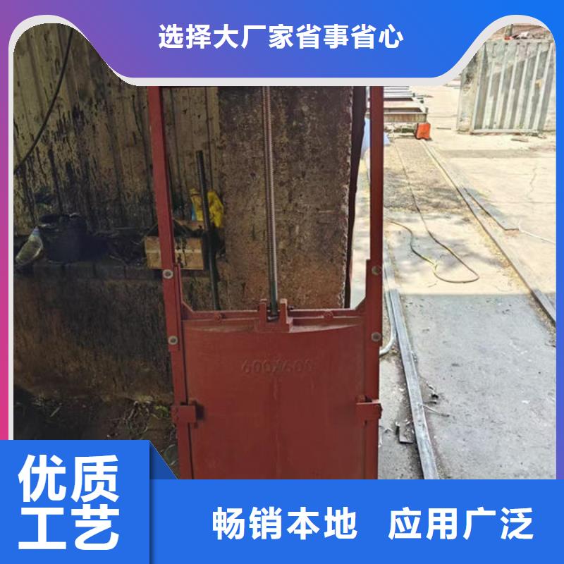 铸铁闸门,扇形闸门支持货到付清