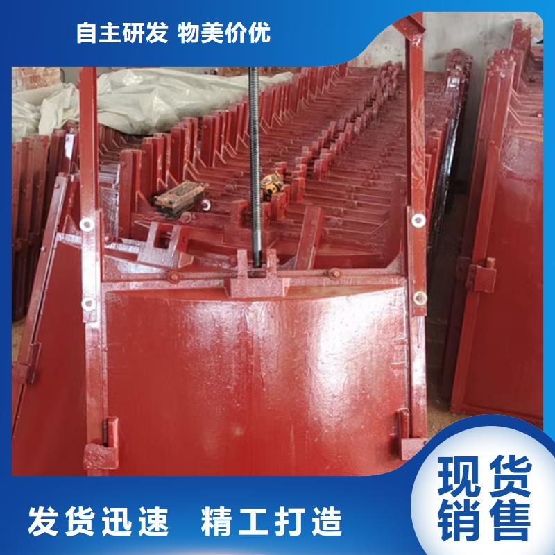 铸铁闸门,扇形闸门支持货到付清