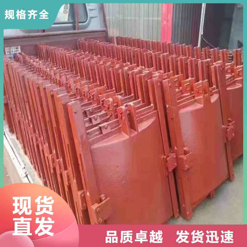 铸铁闸门,手提铸铁闸门现货销售
