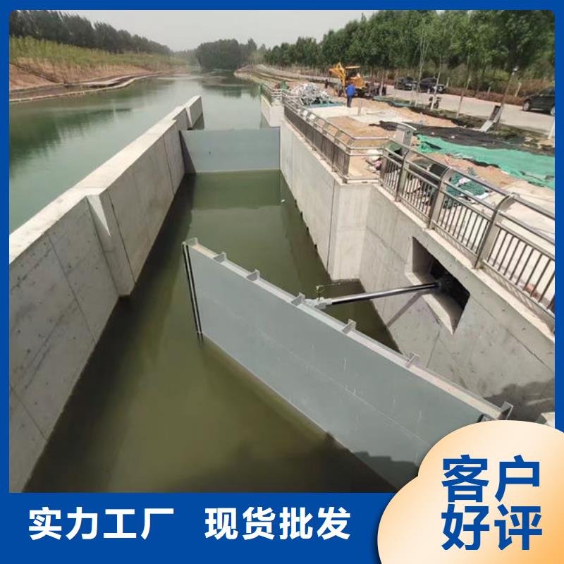 钢坝闸门泵站上卧式闸门好货直销