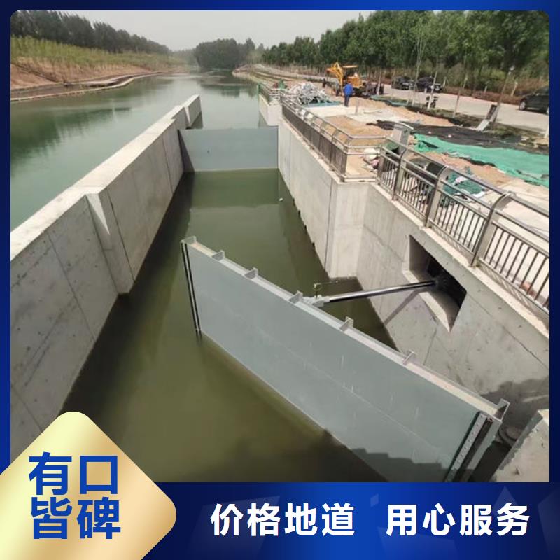 钢坝闸门-合页钢坝优选厂家