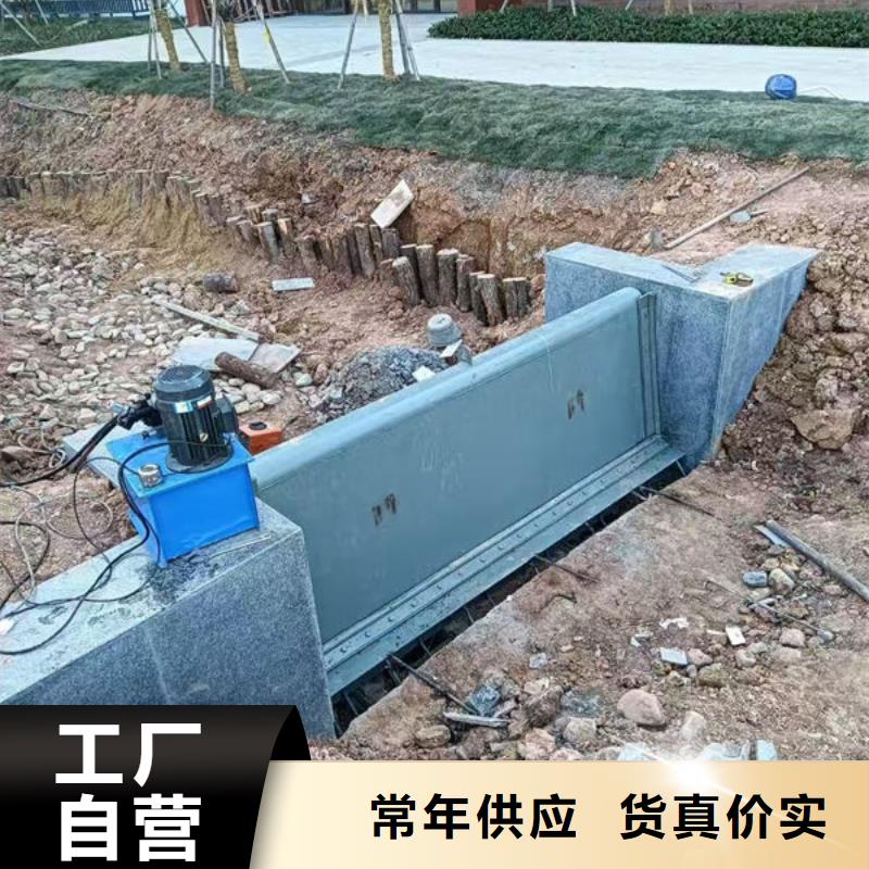 钢坝闸门-合页钢坝优选厂家