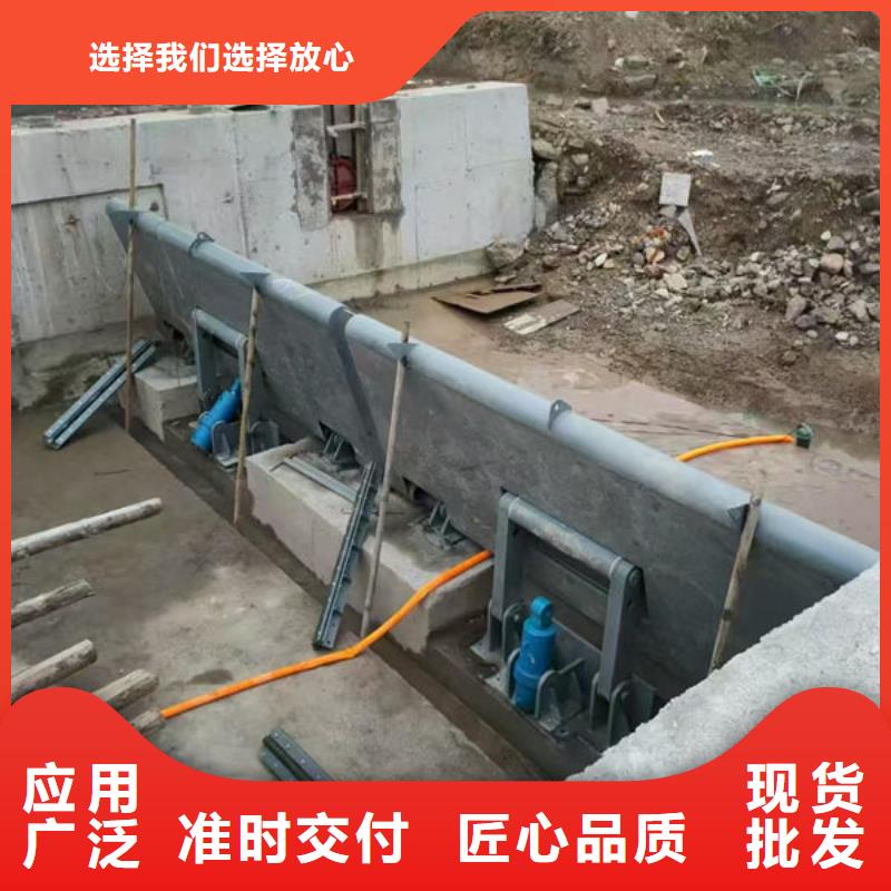 钢坝闸门-合页钢坝优选厂家