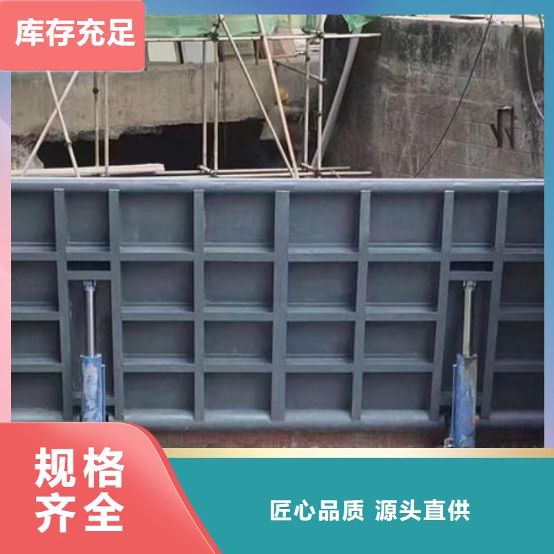 钢坝闸门钢制拍门敢与同行比服务