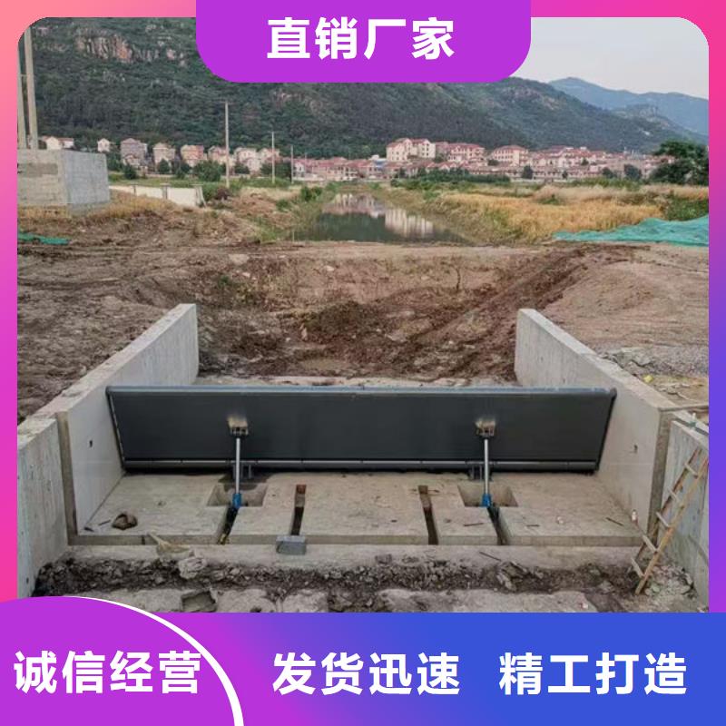 钢坝闸门景观钢闸门源厂定制