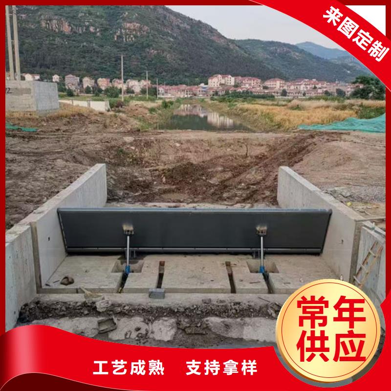 钢坝闸门翻板闸门订购