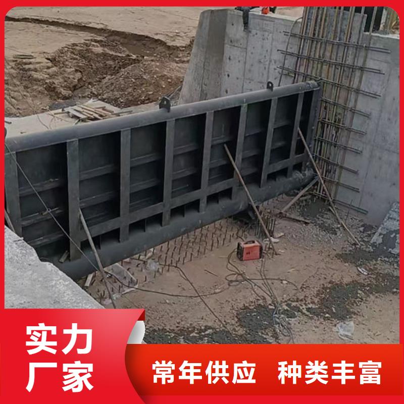 钢坝闸门翻板闸门品质保证