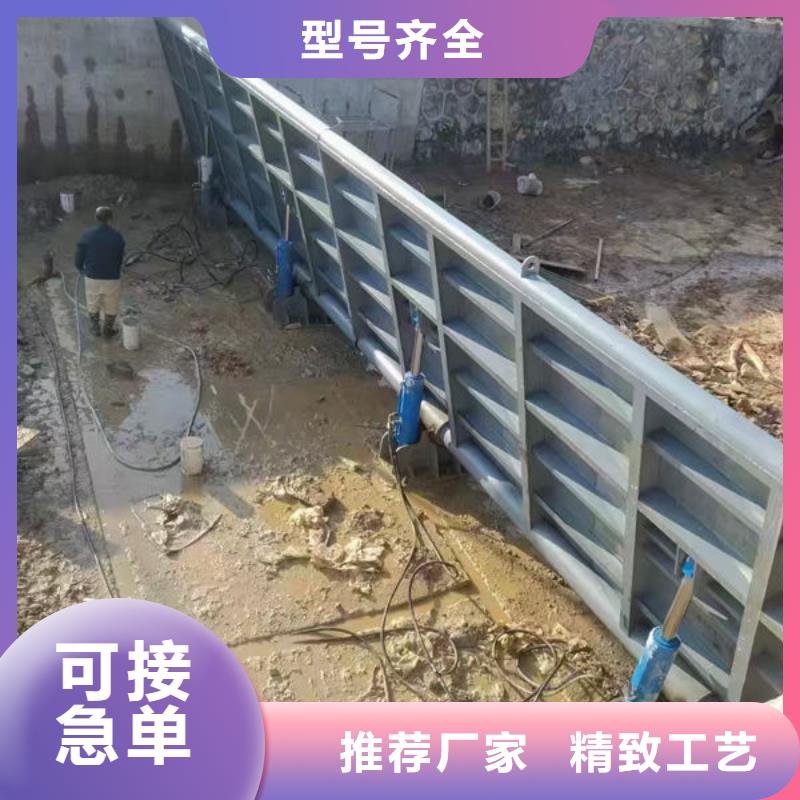 钢坝闸门翻板闸门品质保证