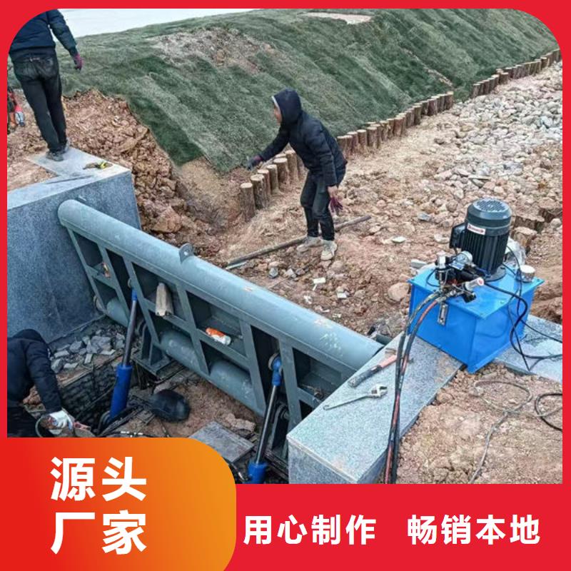 钢坝闸门翻板闸门品质保证