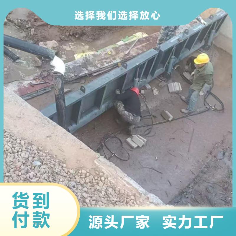 钢坝闸门翻板闸门品质保证