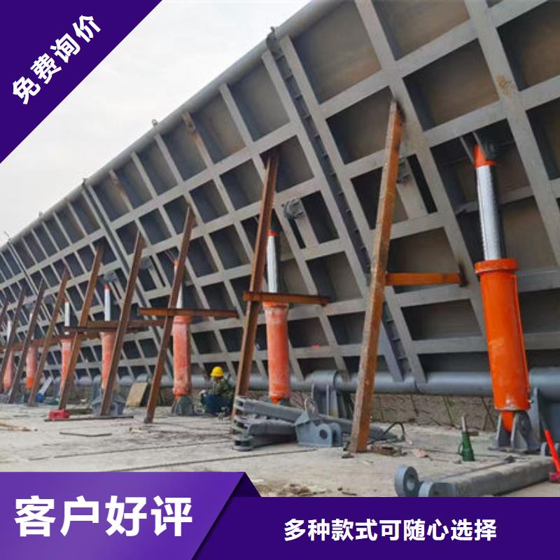 钢坝闸门-合页钢坝优选厂家