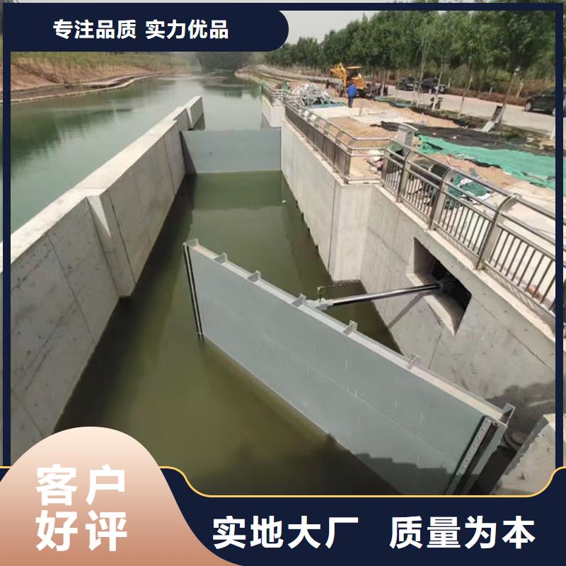 钢坝闸门-合页钢坝优选厂家