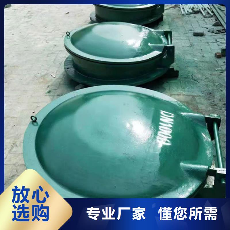 拍门防倒灌拍门为品质而生产