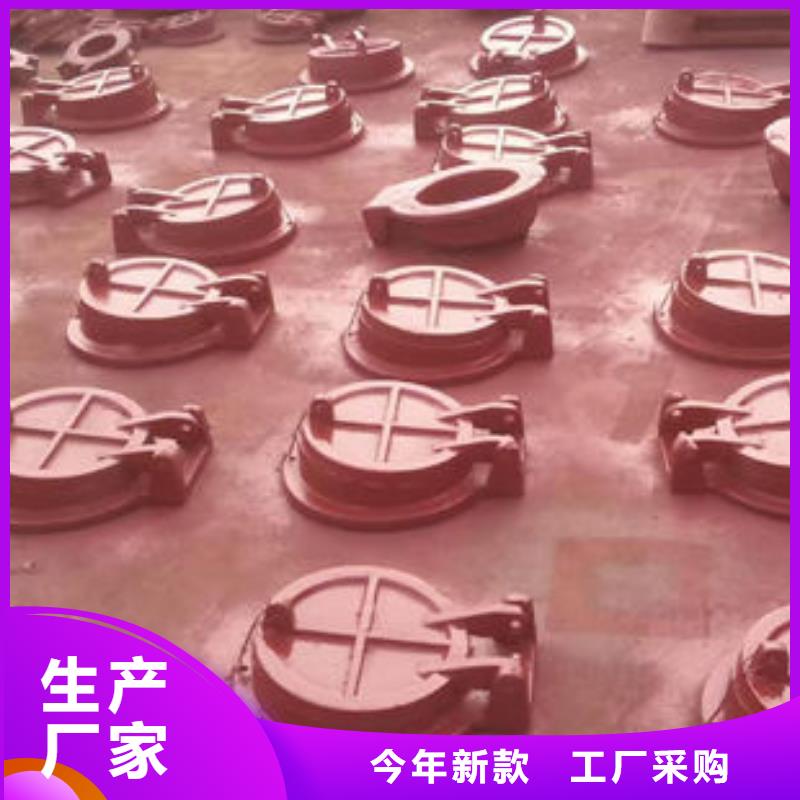 拍门不锈钢拍门工程施工案例