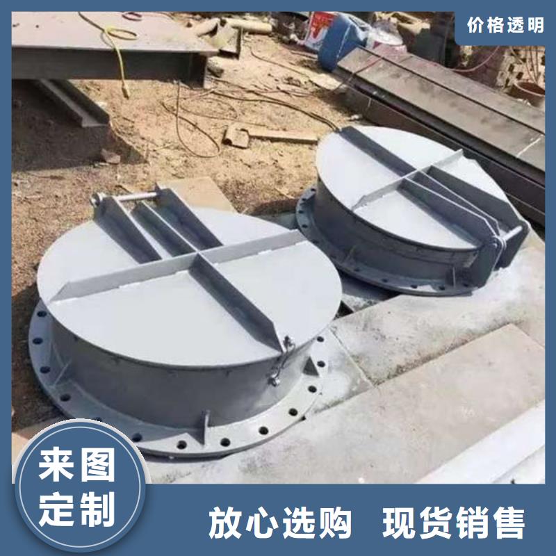 拍门不锈钢拍门工程施工案例