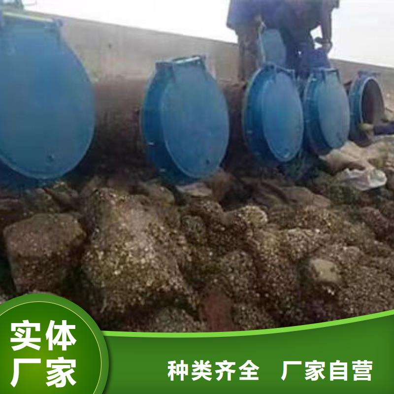 拍门,圆拍门高质量高信誉