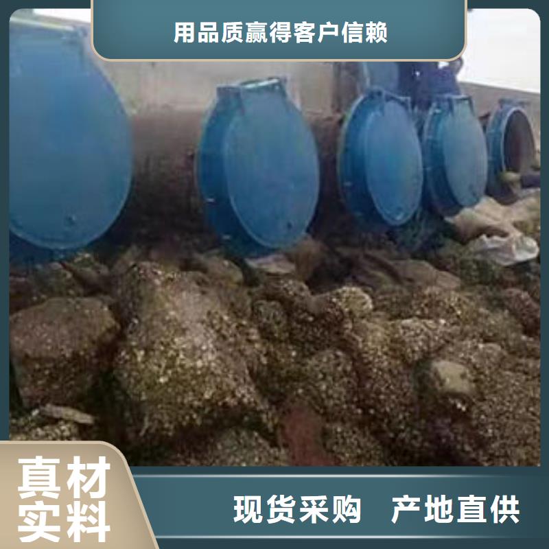 拍门_球墨铸铁拍门细节决定成败