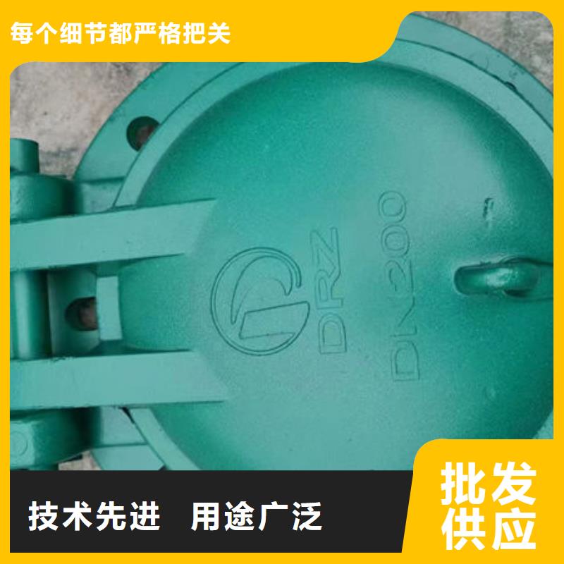 拍门不锈钢拍门出厂严格质检