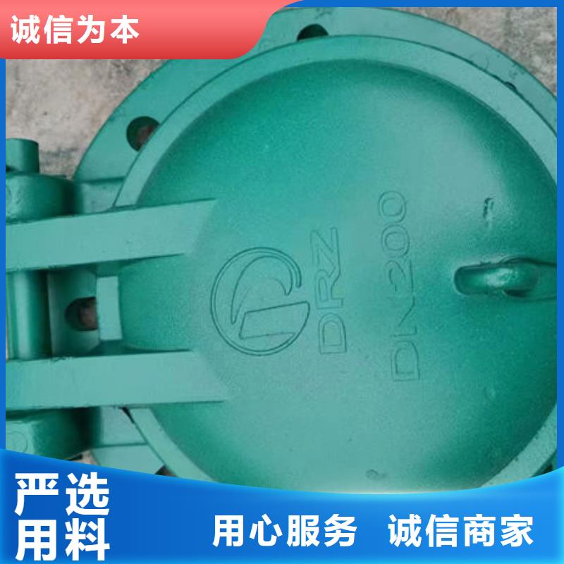 拍门铸铁拍门现货供应