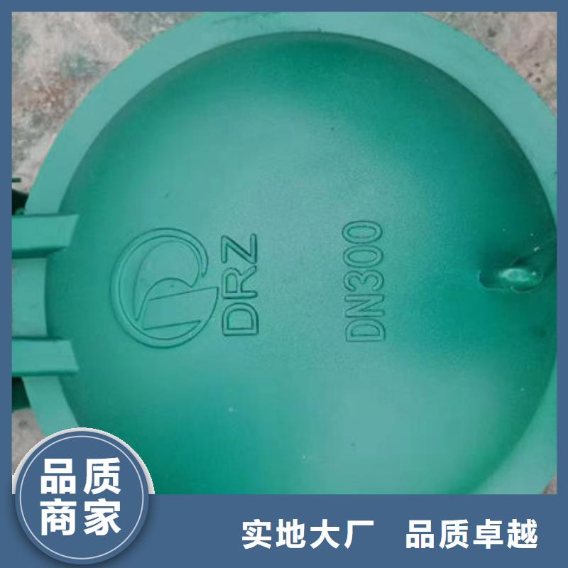 拍门-方拍门符合行业标准
