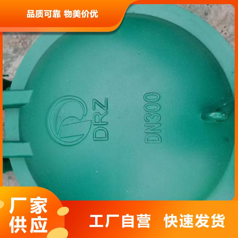 拍门不锈钢拍门价格实惠