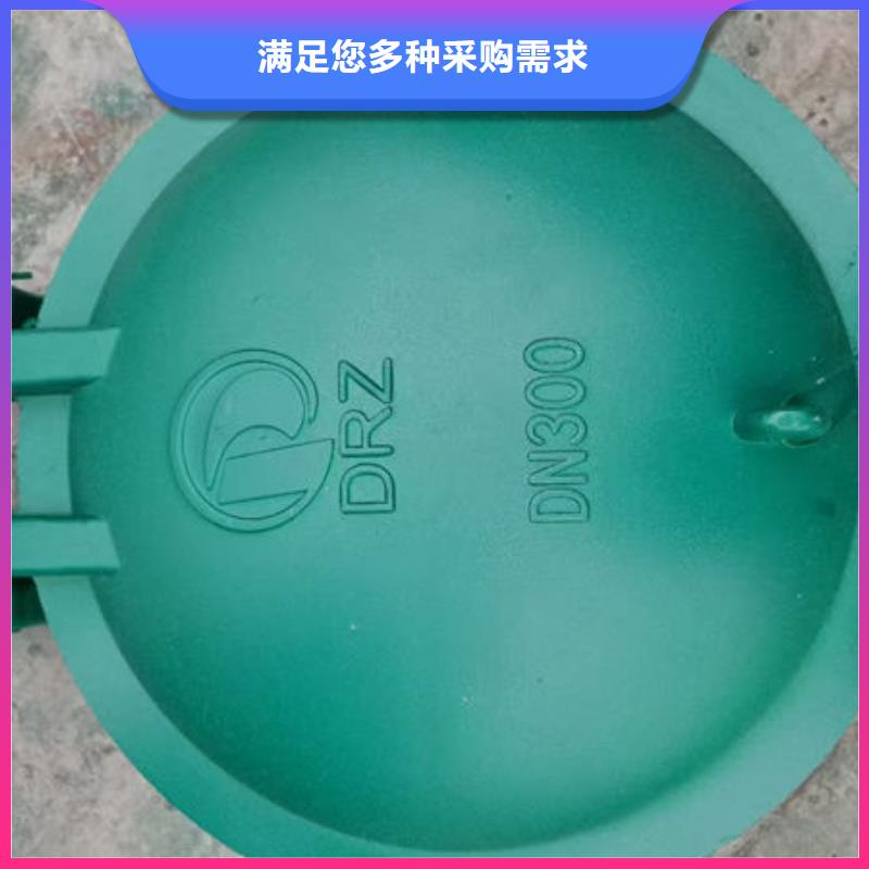 拍门,不锈钢拍门质量优选