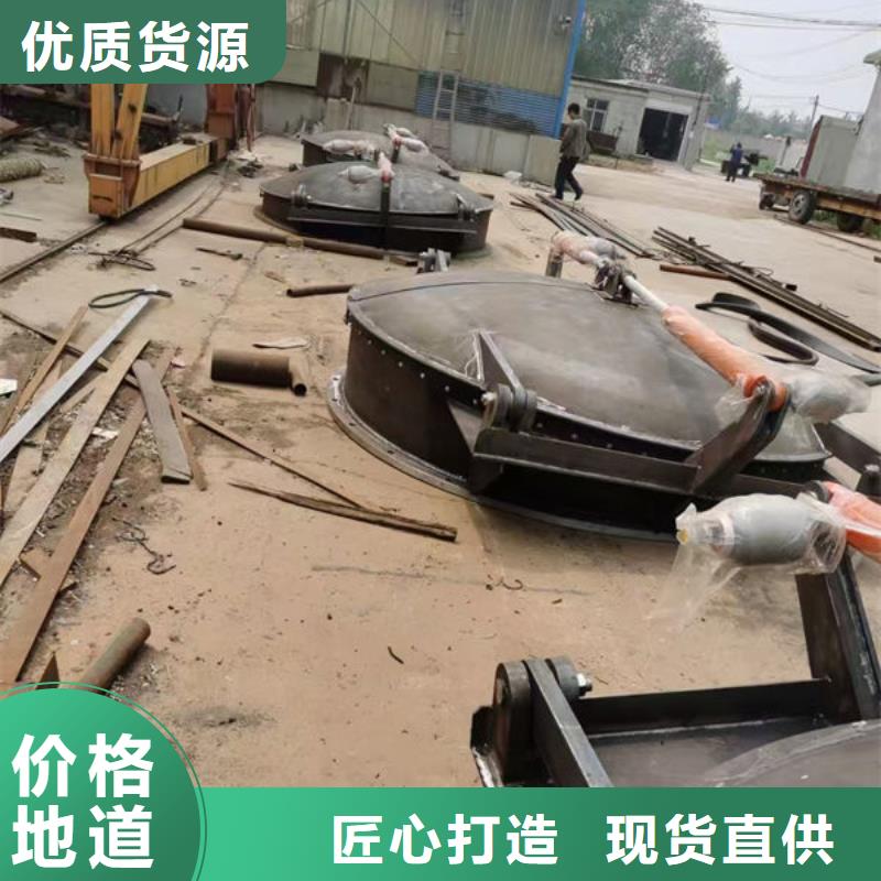 拍门防倒灌拍门检验发货