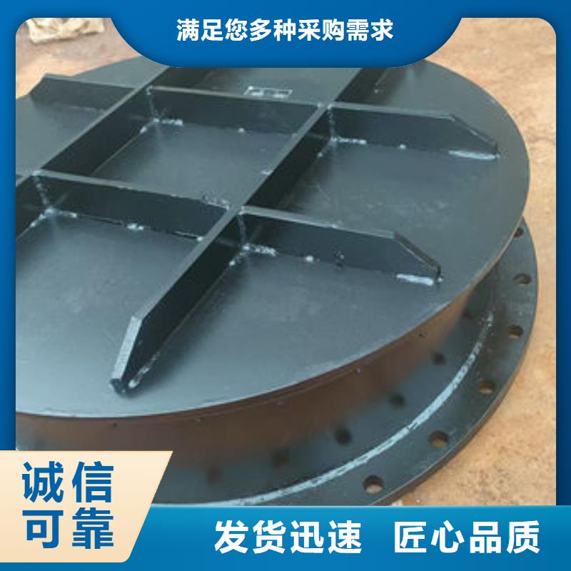 拍门球墨铸铁拍门用心做产品