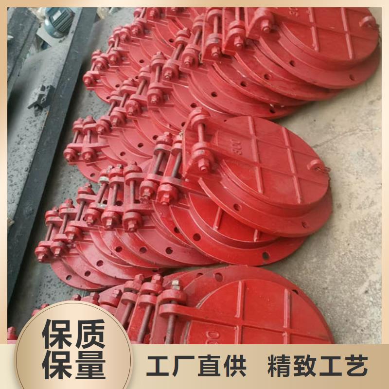 拍门-拍门品种全