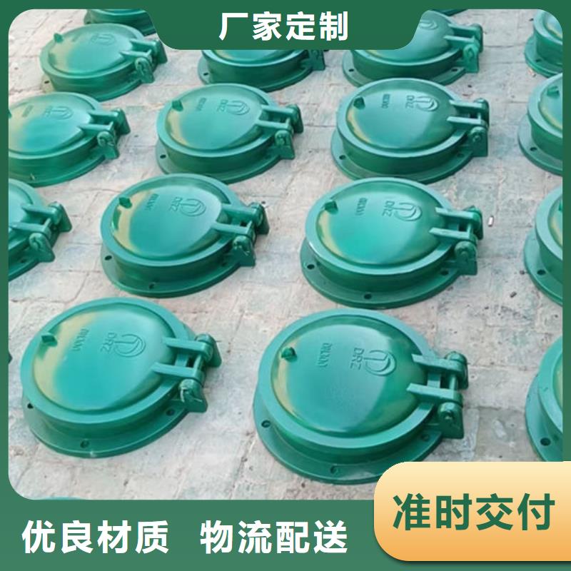 拍门防倒灌拍门检验发货
